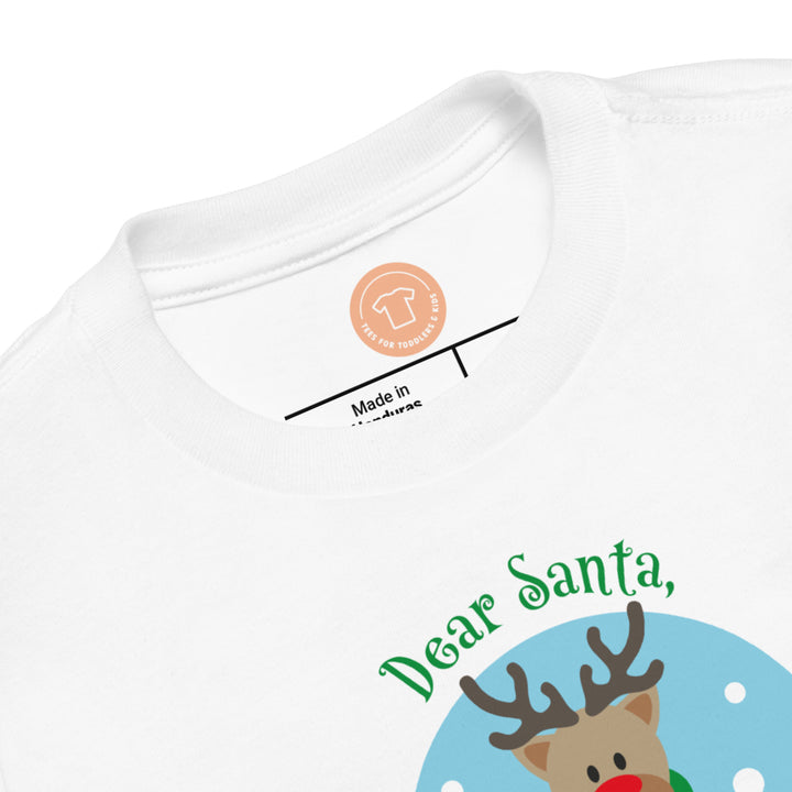 Dear Santa, It's A Really Long Story...Short Sleeve T Shirts For Toddlers And Kids. - TeesForToddlersandKids -  t-shirt - christmas, holidays - dear-sante-its-a-really-long-story-short-sleeve-t-shirts-for-toddlers-and-kids