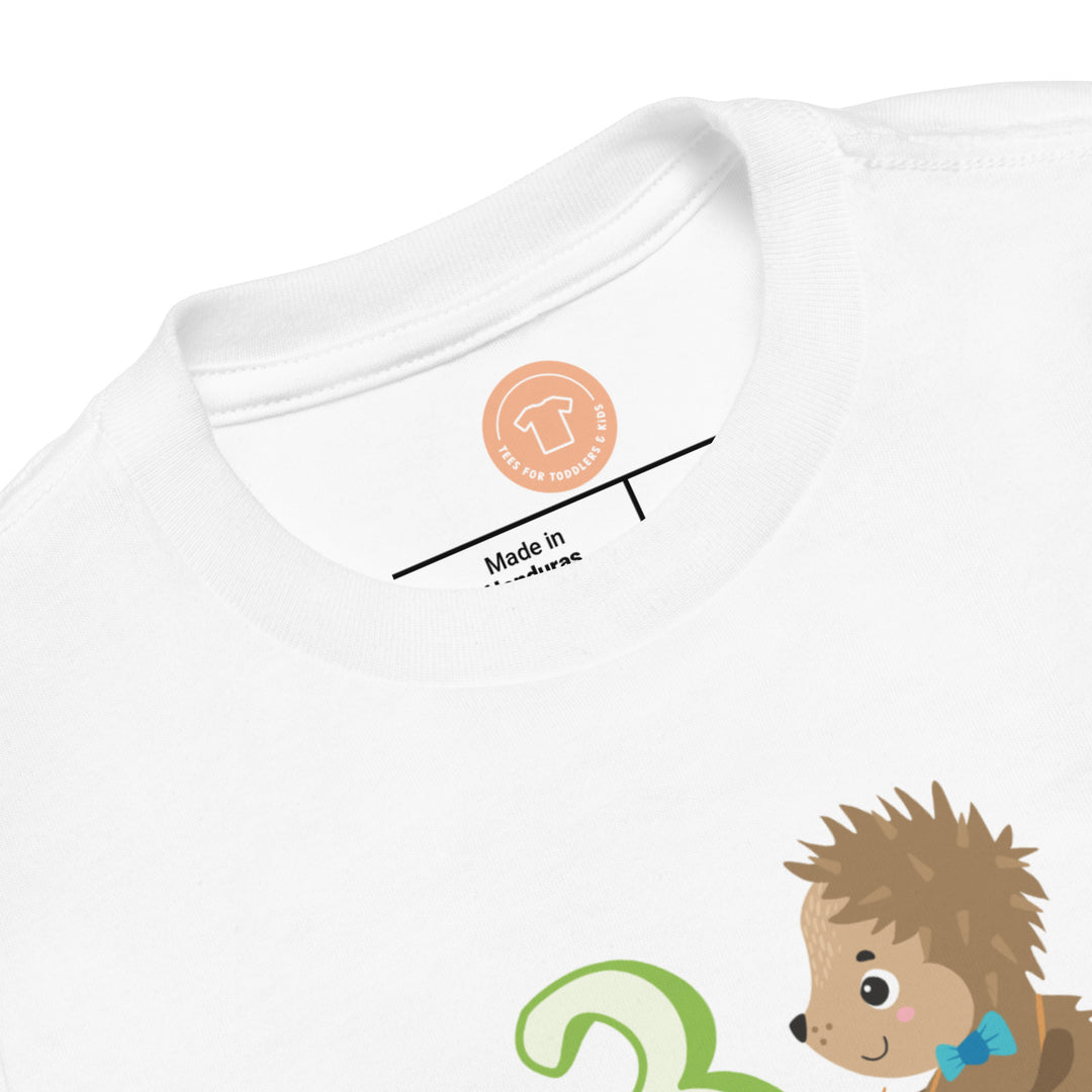 3 Year Birthday Cute Hedgehog Green. Short Sleeve T Shirt For Toddler And Kids. - TeesForToddlersandKids -  t-shirt - birthday - 3-year-birthday-cute-hedgehog-green-short-sleeve-t-shirt-for-toddler-and-kids