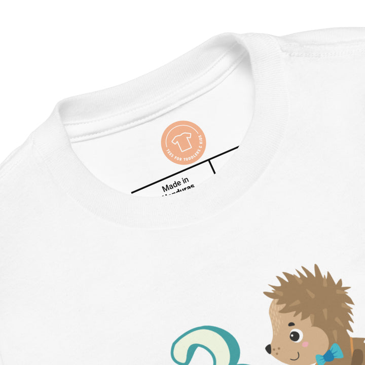 3 Year Birthday Cute Hedgehog Turcoise. Short Sleeve T Shirt For Toddler And Kids. - TeesForToddlersandKids -  t-shirt - birthday - 3-year-birthday-cute-hedgehog-turcoise-short-sleeve-t-shirt-for-toddler-and-kids