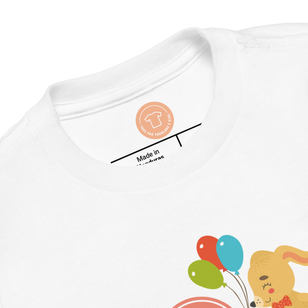 4 Years Cute Rabbit Peach. Short Sleeve T Shirt For Toddler And Kids. - TeesForToddlersandKids -  t-shirt - birthday - 4-years-cute-rabbit-peach-short-sleeve-t-shirt-for-toddler-and-kids