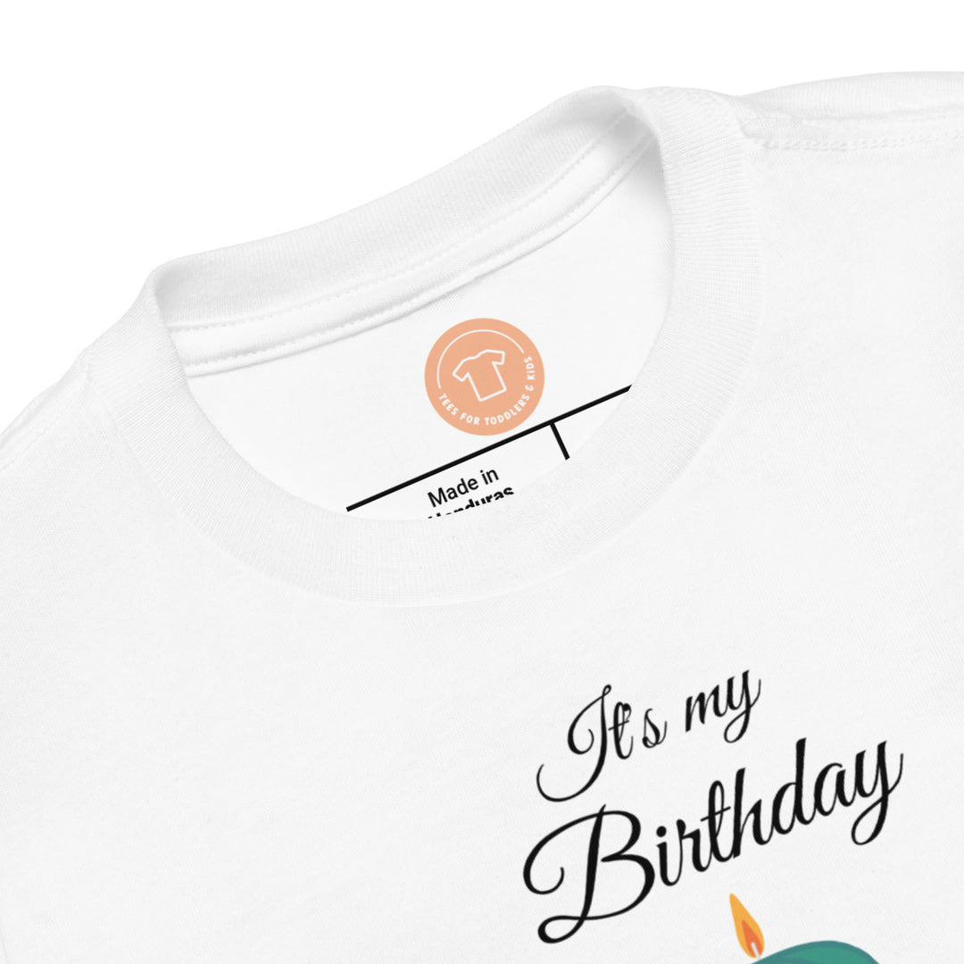 Its My Birthday. Short Sleeve T Shirt For Toddler And Kids. - TeesForToddlersandKids -  t-shirt - birthday - hes-my-birthday-short-sleeve-t-shirt-for-toddler-and-kids-2