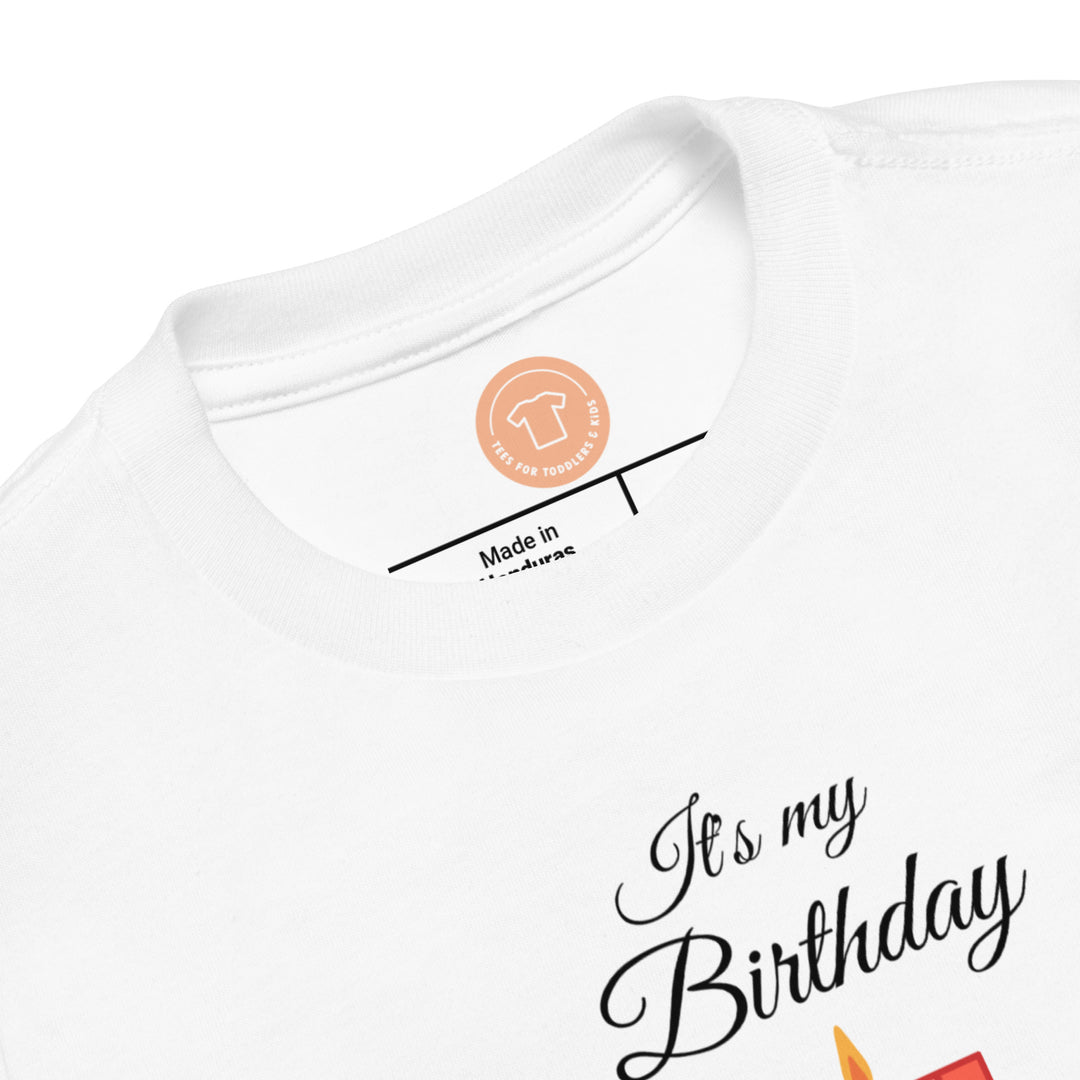 Its My Birthday. Short Sleeve T Shirt For Toddler And Kids. - TeesForToddlersandKids -   - birthday - its-my-birthday-short-sleeve-t-shirt-for-toddler-and-kids-1