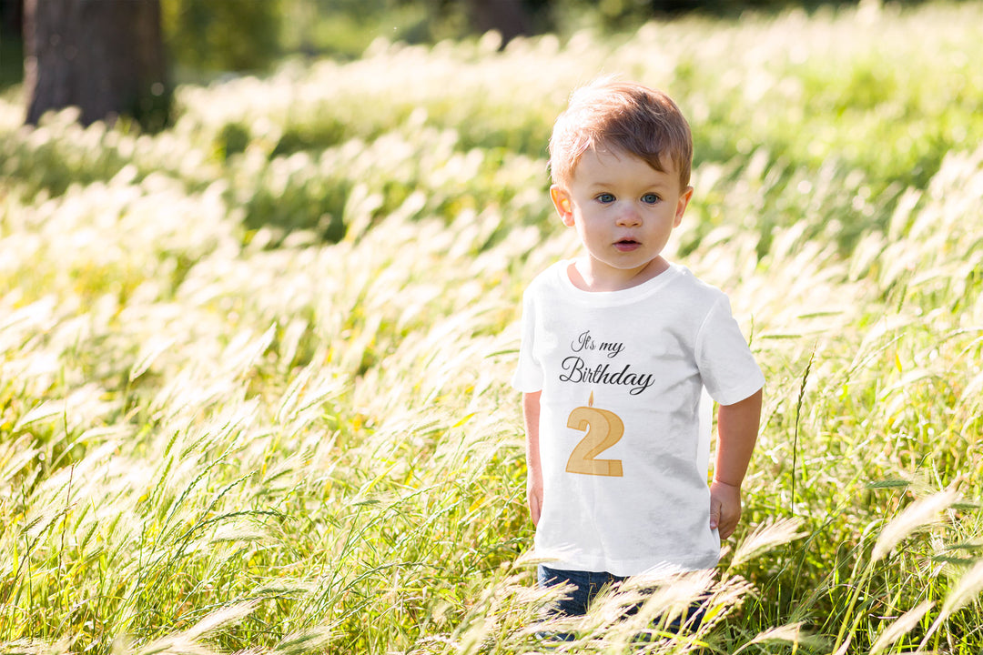 Its My Birthday. Short Sleeve T Shirt For Toddler And Kids. - TeesForToddlersandKids -  t-shirt - birthday - hes-my-birthday-short-sleeve-t-shirt-for-toddler-and-kids-3